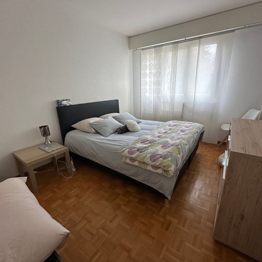 2 Zimmer - Photo 1