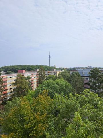 1-Zi. Wohnung mit toller Aussicht in Nürnberg - Röthenbach / Wohnung mieten - Photo 3