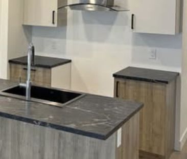 Logement 31/2 à Louer St-Isidore Beauce - Photo 3
