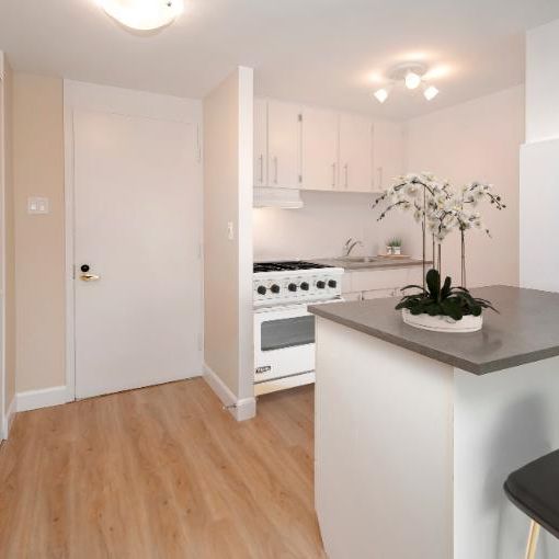 Appartement 3 ½ à louer Montcalm / Saint-Sacrement janvier 2026 - Photo 1