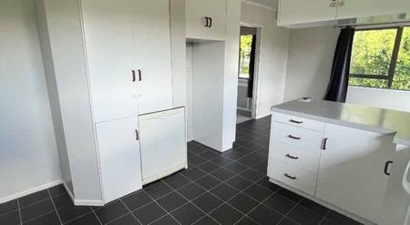 Spacious 3 Bedroom Home - Photo 4