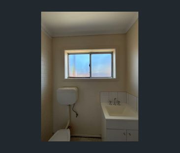 One-Bedroom Unit Near the Botanical Gardens - Photo 3