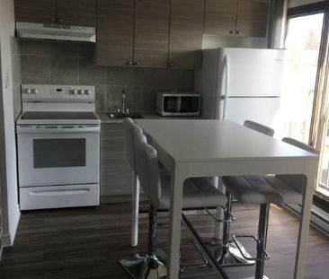 1 1/2 - Montréal (La Petite-Patrie) - 950 $/mois - Photo 1