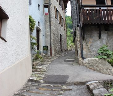 2 Zimmer, 50 m², EG - Foto 5