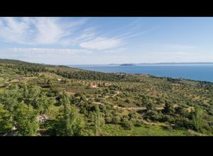 Βίλα για ενοικίαση - Σιθωνία, - Photo 5