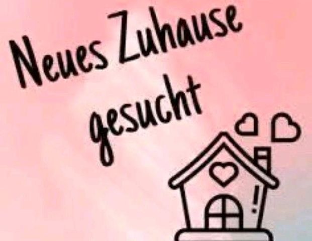 Suche Wohnung in Plettenberg - Photo 1