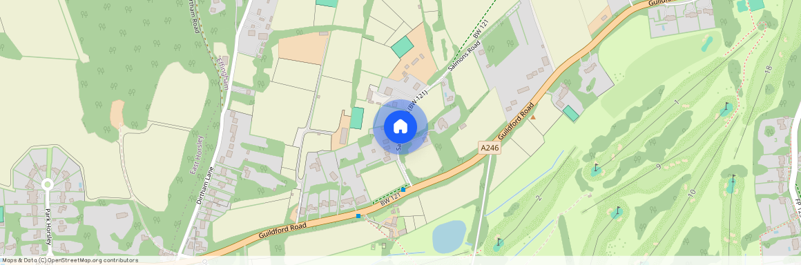 SALMONS ROAD, EFFINGHAM, KT24