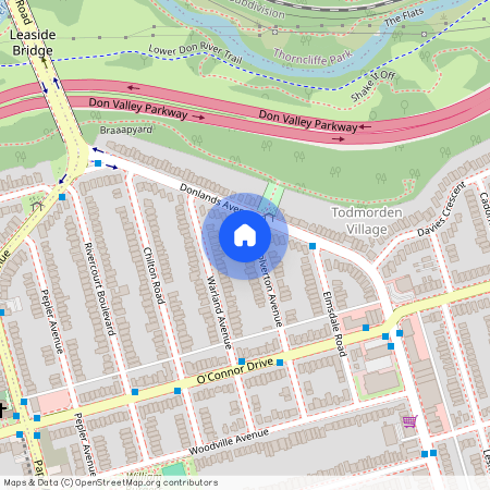 46 Wolverton Avenue, Toronto