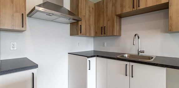 Superbe 4½ Et 4½ + - Photo 2