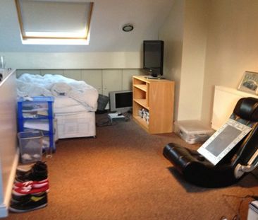 Spacious 4 Double bed Property - Harland Road, Ecclesall, Sheffield 11 - Photo 4