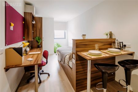 Classic Studio - Photo 5