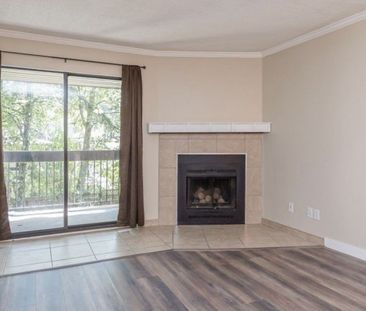 10560 154 St, Surrey, BC V3R 8A3, Canada - Photo 4