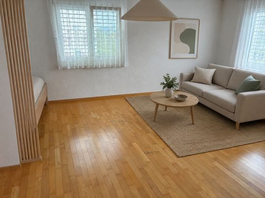 1.5 Zimmer, 42 m², 2. Stock - Foto 1