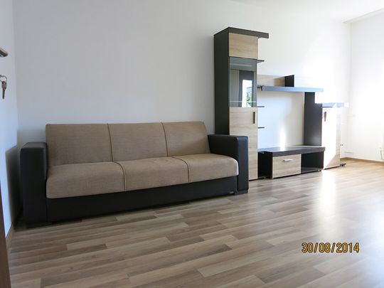 Luxury 2 rooms apartment for rent Iasi, central area - Fotografie 1