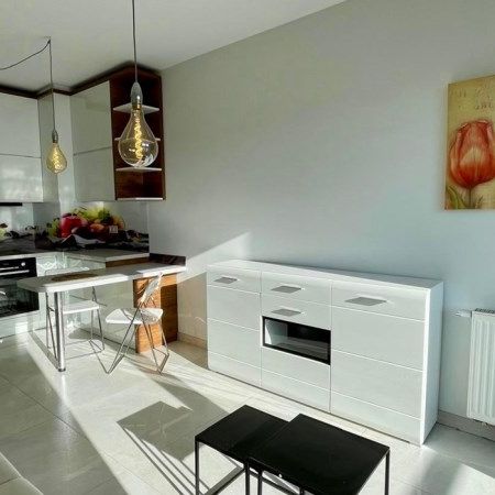 Bielsko-Biała, Sarni Stok Mieszkanie na wynajem - Photo 1