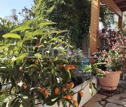 Μονοκατοικία για ενοικίαση - Ανάβυσσος - Photo 6