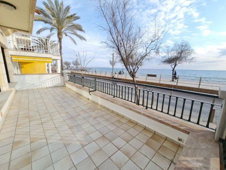 4 room luxury Apartment for rent in Palma de Mallorca, Balearic Islands - Photo 5