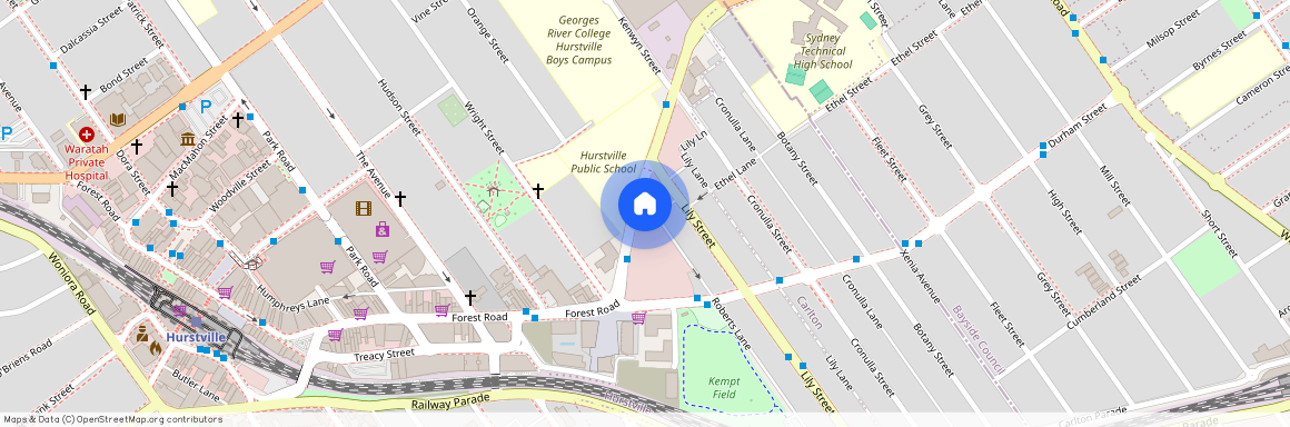 53 Forest Rd, NSW 2220, Hurstville
