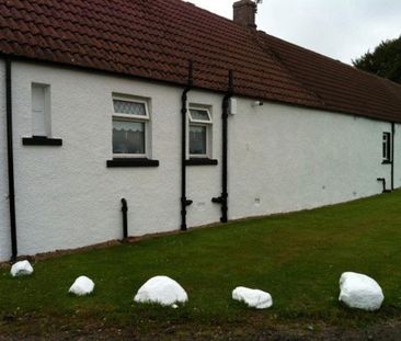 2 bedroom semi-detached house to rent - Photo 2