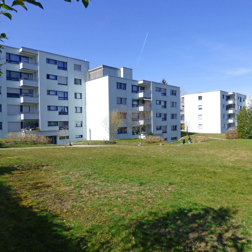 Tolle Wohnung gesucht...? - Foto 1