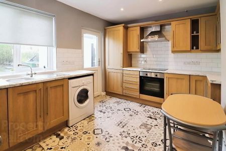 43 Beechland Drive, Lisburn, BT28 1HS - Photo 5