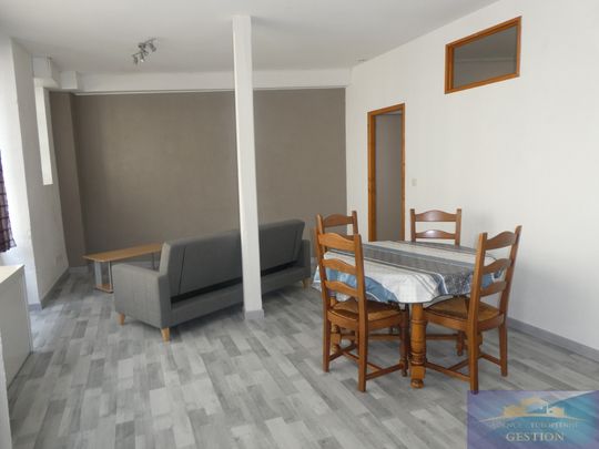 Location Appartement 1 pièce 49m² LOURDES 65100 - Photo 1