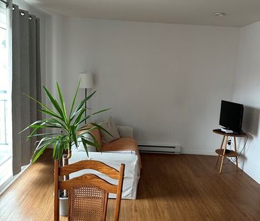 Grand 31/2 Sherbrooke Centre-ville - Photo 1