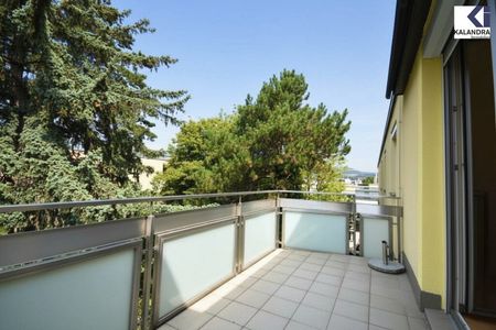 360° TOUR // NEUBAUWOHNUNG im COTTAGEVIERTEL // MODERN APARTMENT in COTTAGE AREA - Foto 3