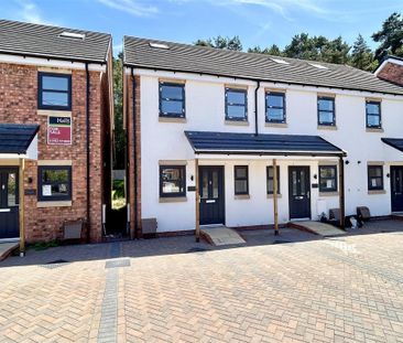 3 bedroom house to rent - Photo 6