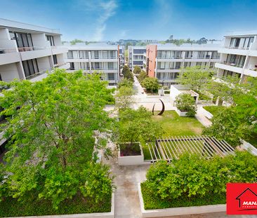 8/20 Eyre Street, Kingston ACT 2604 - Apartment For Rent | Domain - Photo 3