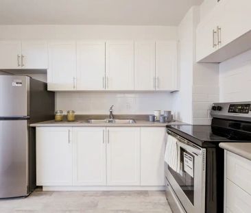 Bentley Apartments — 1 Bedroom available at 15 Tangreen Court, Nort... - Photo 1