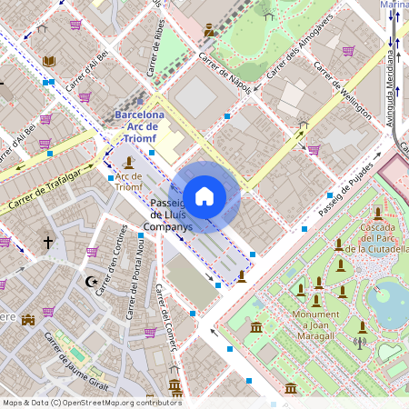 Passeig de Lluís Companys, Barcelona, Catalonia 08018