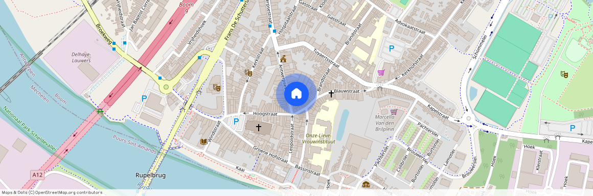 Antwerpsestraat, 476, 12, 2850, Boom