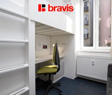 Pronájem bytu 1+1, Brno - Staré Brno, ul. Křížová, zařízený, klidný... - Fotografie 1