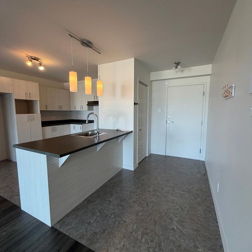 2 CH - 1 SDB - Lévis - $1,250 /mo - Photo 1
