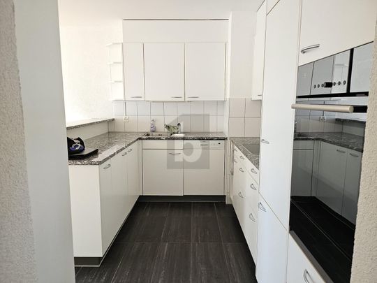 DREAMLIKE VIEW OVER THE LIMMATTAL VALLEY - Photo 1