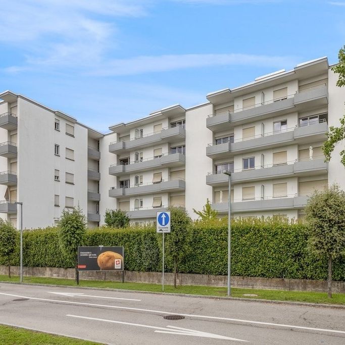 Rent a 2 ½ rooms apartment in Mendrisio - Photo 1