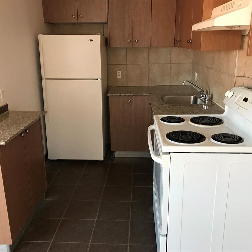 1 CH - 1 SDB - Montréal - $1,300 /mo - Photo 1