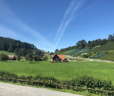 Schön renovierte Wohnung in traumhafter Umgebung - Foto 6