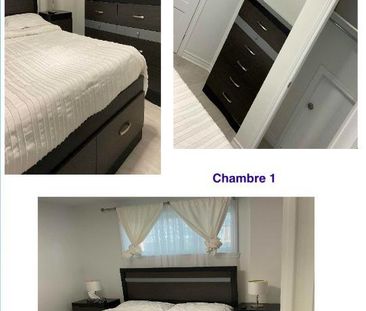 Chambre à louer - Photo 3