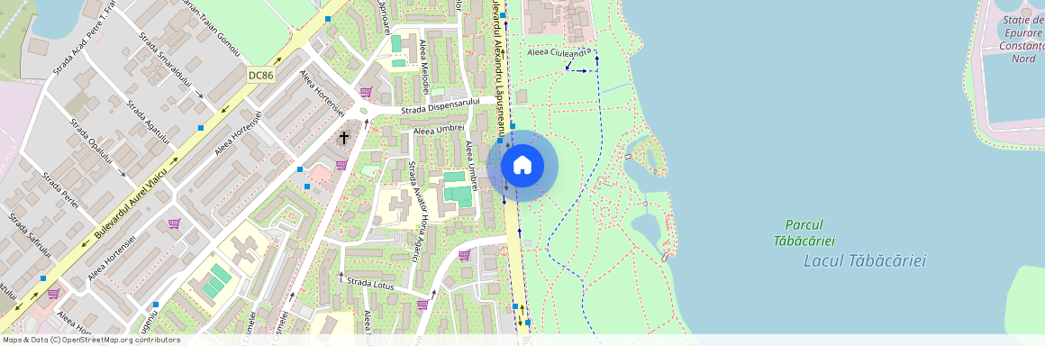 Constanta, Constanta