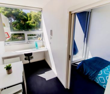 Standard 1 Bedroom - Photo 3