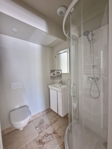Location Appartement 1 pièce 13m² COUZON AU MONT D OR 69270 - Photo 3