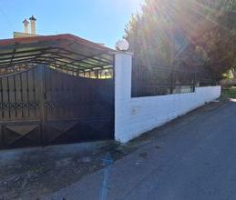 Διαμέρισμα για ενοικίαση - Αυλίδα, - Photo 2