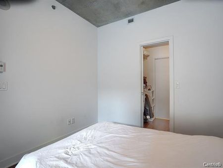 Condo for rent, Montréal (Le Sud-Ouest) - Photo 4