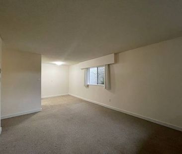 One bedroom in James Bay - Photo 2