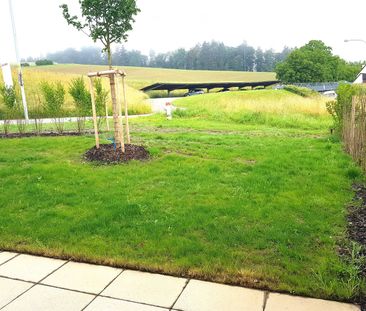 3.5 Zimmer, 84 m² - Photo 4