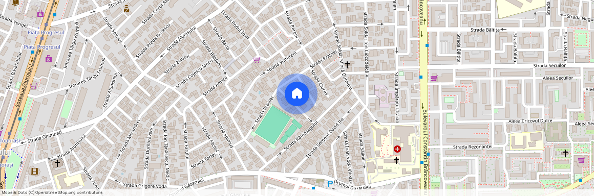 Strada Fruntas Marinescu Nicolae, Berceni, Sectorul 4, Bucuresti