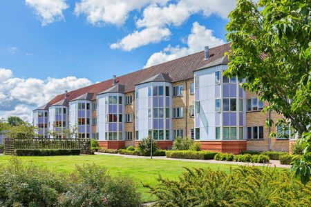 Afd. 4 Lindevang - Photo 5