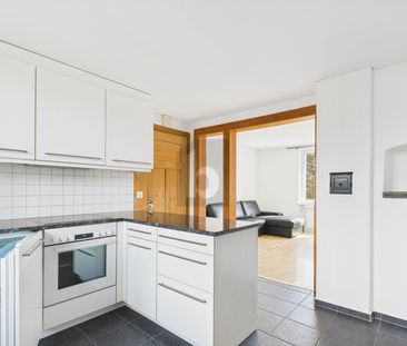 FRISCH RENOVIERT MIT GARTENSITZPLATZ! - Photo 6